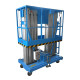 Двухмачтовый подъемник PROLIFT GTWY9-200 AC